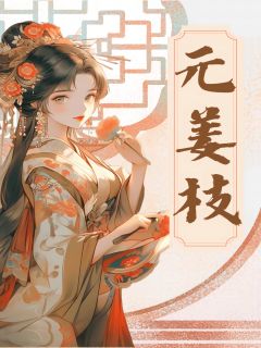 姜元枝沈执小说无广告阅读-二筒文学网