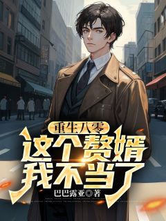 陆远舟江亦辞重生八零，这个赘婿我不当了小说完整版-二筒文学网