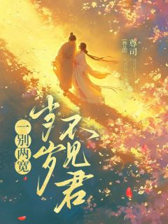 尊司的小说一别两宽，岁岁不见君主角是岁岁孟钰-二筒文学网