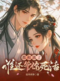 (抖音)都和离了，谁还管你死活 主角宋昭慕容衔