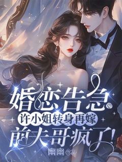 婚恋告急：许小姐转身再嫁，前夫哥疯了！(许南夕林淮年)最新章节