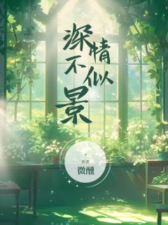 舒涵司景林翩然章节免费阅读