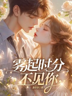 作者盏茶茶写的雾起时分不见你小说大结局全章节阅读