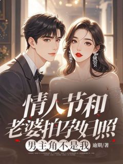 情人节和老婆拍孕妇照，男主角不是我章节目录小说-梁晟梁辉沈清免费阅读全文-二筒文学网