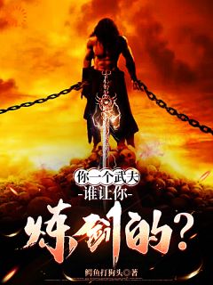 爆款热文秦关南柔在线阅读-你一个武夫，谁让你炼剑的？全章节列表-二筒文学网