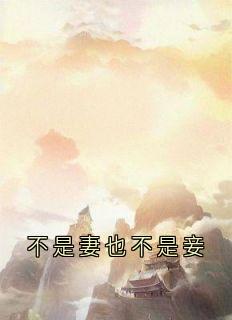 不是妻也不是妾无广告阅读 谢知唯沈钰免费在线阅读