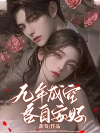 九年成空，各自安好免费小说作者甜葵全文阅读-二筒文学网