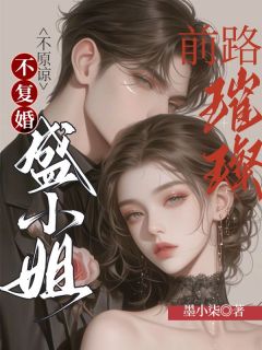 不原谅，不复婚，盛小姐前路璀璨！盛宁秦湛大结局小说全章节阅读