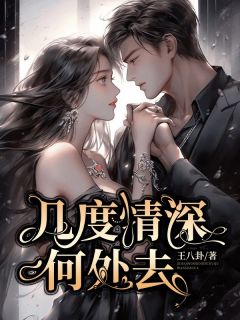 好书推荐几度情深何处去宋晚顾景川全文在线阅读-二筒文学网