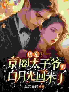 【热文】吻星唇！禁欲大佬夜沦陷主角纪繁星厉景琛小说全集免费阅读