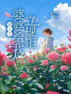 情人节，婆婆给我立规矩林冉陆斐全章节完结版在线阅读-二筒文学网