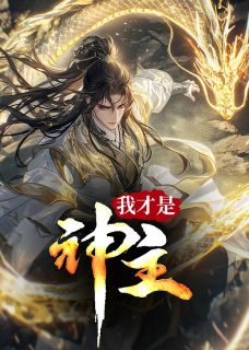 我才是神主小说免费版阅读抖音热文