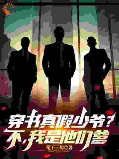 穿书真假少爷？不，我是他们的爹在线阅读 叶傲天叶战免费小说精彩章节