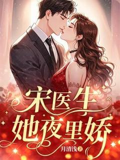抖音宋医生，她夜里娇txt小说阅读
