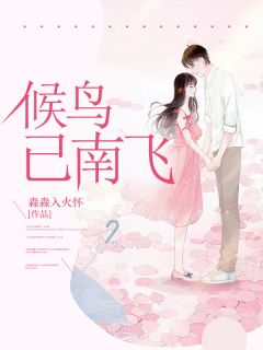 熬夜也要看完的候鸟已南飞小说推荐
