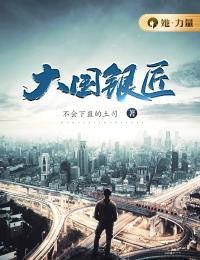 (精品)大国银匠小说