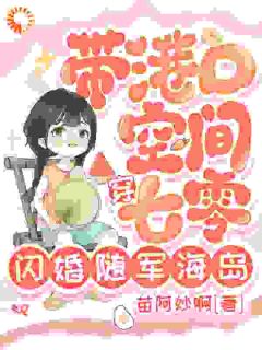 带港口空间穿七零，闪婚随军海岛陈初玖赵春苗大结局小说全章节阅读-二筒文学网