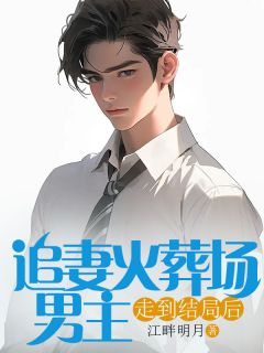 书荒必备追妻火葬场男主走到结局后全文章节阅读-二筒文学网