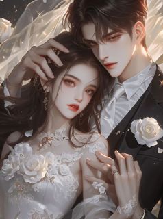 汪不言顾小西乔廷十年饮冰，凉心难热全章节免费阅读