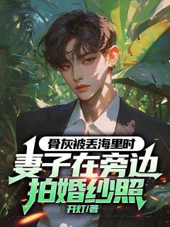 骨灰被丢海里时，妻子在旁边拍婚纱照(新书)大结局在线阅读-二筒文学网