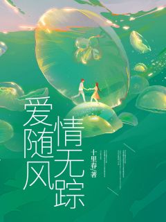 宋佳怡沈安屿是哪本小说主角 爱随风，情无踪免费全章节阅读-二筒文学网