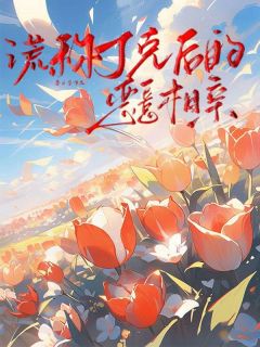 暮山空最新小说谎称丁克后的恶意相亲晴晴刘奎在线试读-二筒文学网