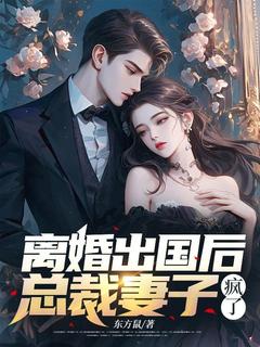 顾乘风柳青栀主角小说离婚出国后，总裁妻子疯了抖音文免费阅读全文-二筒文学网