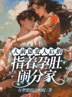 主角叶巧慧秦时小说爆款人前恩爱人后掐，指着孕肚闹分家完整版小说