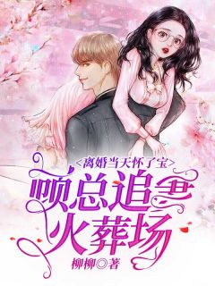 爆款小说由作者柳柳所创作的离婚当天怀了宝，顾总追妻火葬场在线阅读