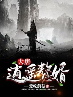 (独家)大唐逍遥赘婿叶晨林清雪小说