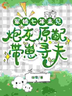 安书陆铮小说无广告阅读