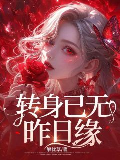 转身已无昨日缘小说-沈青璇傅廷烨全篇阅读