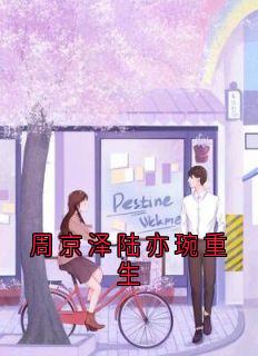 (抖音小说)陆亦婉周京泽小说全文阅读免费