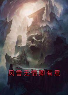 完整版风雪无情卿有意白浅玄溟小说免费在线阅读-二筒文学网