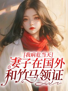 主角柳如烟傅雨泽林澈小说完整版-我病危当天，妻子在国外和竹马领证免费阅读全文