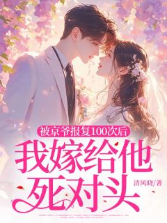 被京爷报复100次后，我嫁给他死对头苏洛熙叶云深小说完整在线阅读-二筒文学网