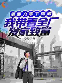 重回九零下岗潮，我带着全厂发家致富小说的书名是什么