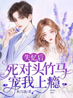 失忆后，死对头竹马宠我上瘾免费阅读全文，主角苏锦意易修澄小说-二筒文学网