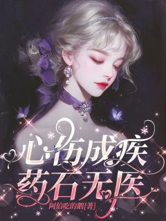 火爆心伤成疾，药石无医小说，主角是沈芸傅妄在线阅读全文无删减-二筒文学网