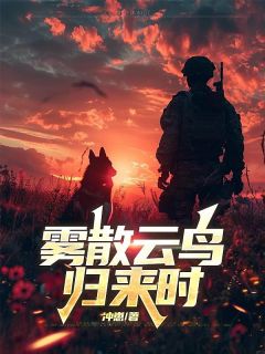 雾散云鸟归来时小说全章节目录阅读BY冲崽完结版阅读