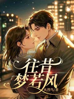 抖音爆款往昔梦若风完整小说（全文阅读）-二筒文学网