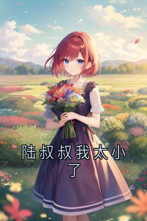 精彩小说陆棠政宋宝贝陆叔叔我太小了全文目录畅读