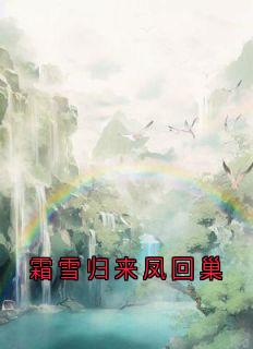 霜雪归来凤回巢小说顾夜沉繁漪最新章节阅读