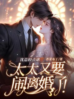 香菜布丁写的小说沈总轻点虐，太太又要闹离婚了！在线阅读