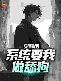 书荒必备张澈林可颐小说