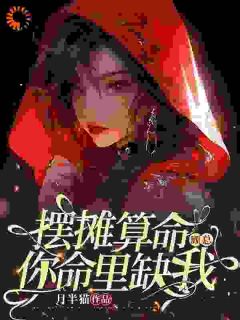 摆摊算命：顾总，你命里缺我小说在线阅读，主角时夏顾淮之精彩段落最新篇