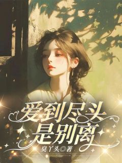 爱到尽头是别离宋时安陆知衍小说_爱到尽头是别离完结版阅读-二筒文学网