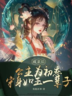 高今茗宋思辰陈柯成亲后，公主为初恋守身如玉一辈子全文(高今茗宋思辰陈柯)章节免费阅读-二筒文学网