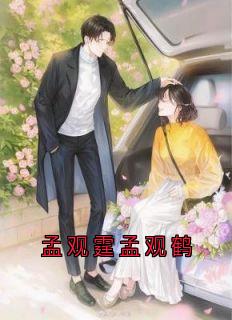 孟观霆孟观鹤小说(完整版)-孟观鹤唐安意章节阅读