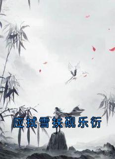 抖音应拭雪扶砚小说叫什么名字